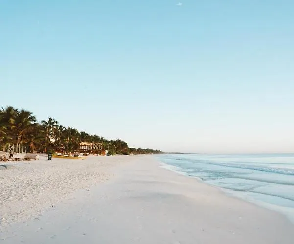 Playa Mambo Eco Cabanas Hotel 4*